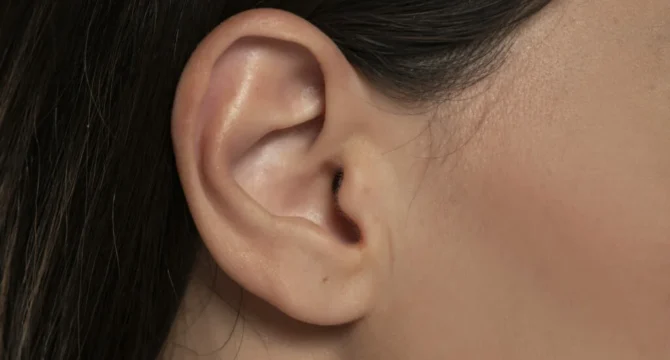 Belle oreille bien proportionnée de femme de profil aux cheveux bruns dégagés en arrière
